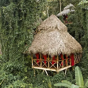 Resort Dominican Tree House Village
